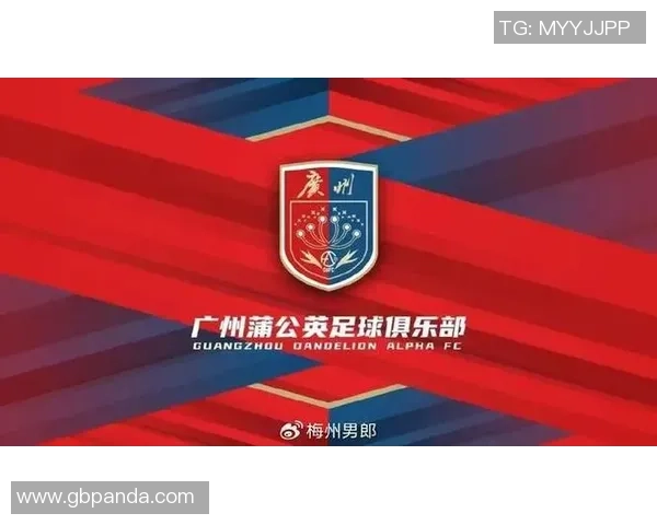 足球巨星代言风潮掀起品牌营销新纪元球迷热衷背后深意探析